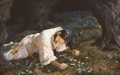 The Price of True Discipleship