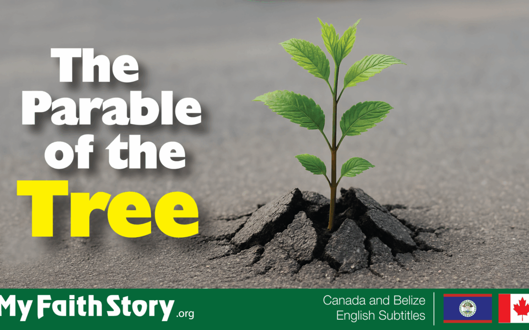 The Parable of the Tree