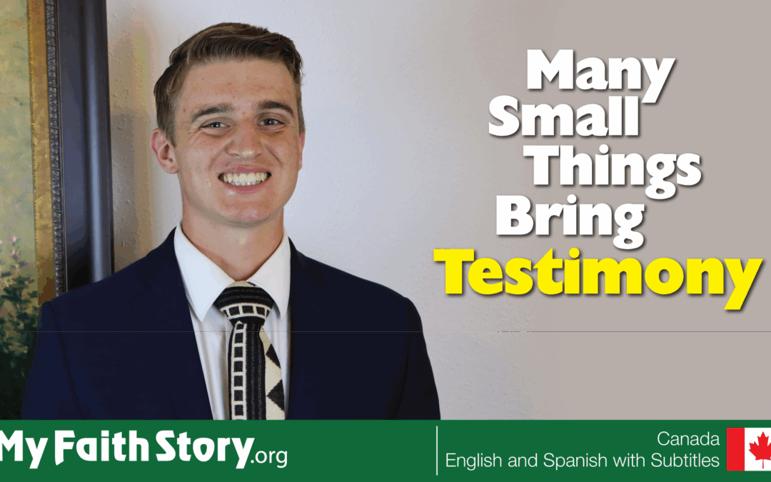 Many Small Things Bring Testimony