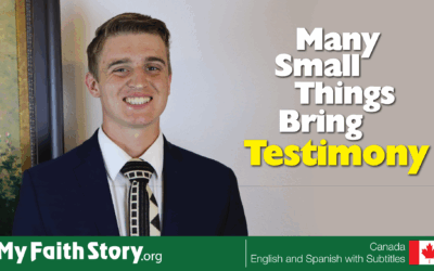 Many Small Things Bring Testimony